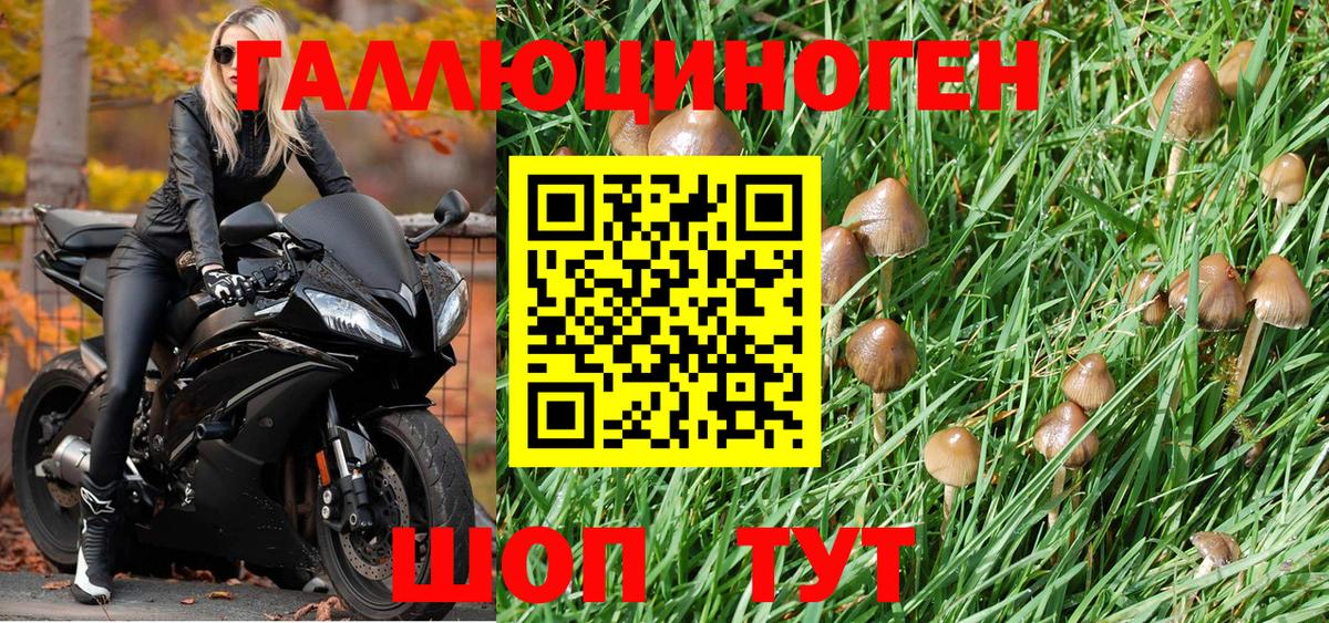 купить наркоту  Новоалтайск  Галлюциногенные грибы Psilocybine cubensis  Галлюциногенные грибы мухоморы 