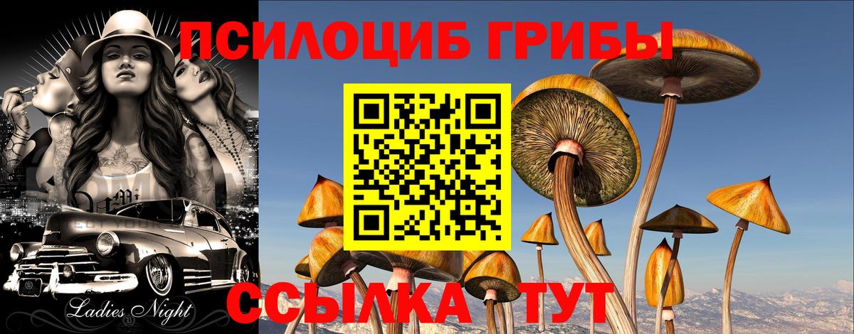 Псилоцибиновые грибы MAGIC MUSHROOMS  Вход с VPN  Новоалтайск  Псилоцибиновые грибы MAGIC MUSHROOMS 